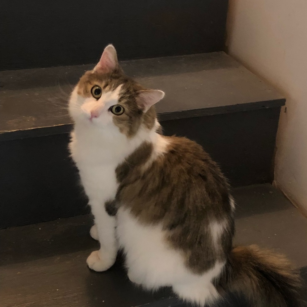 Meet your Posher, Wendy